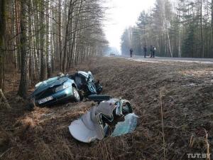 В Ветковском районе водитель Audi не справился с управлением 