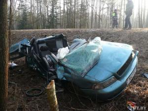 В Ветковском районе водитель Audi не справился с управлением 