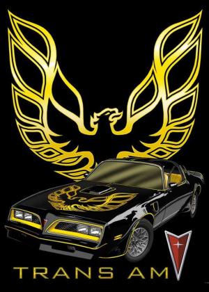 1977 Pontiac Firebird Trans Am Bandit Edition 