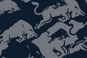 Red Bull продолжает интриговать…