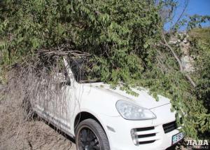 В Актау владелец Porsche Cayenne не смог отсудить компенсацию за упавшее на авто дерево