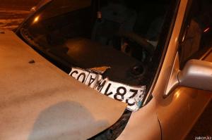 В Алматы собака стала причиной ДТП 