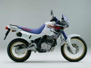 Honda NX650 Dominator может вернуться в новой форме?!