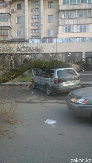 В Алматы на припаркованную машину упало дерево