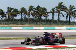 В Toro Rosso надеются прибавить в квалификации