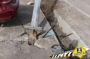 В Алматы произошло очередное массовое ДТП 
