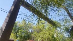 В Алматы автобус врезался в опору уличного освещения 