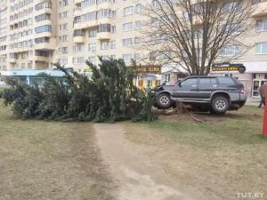 В Минске Ssang Yong после ДТП вылетел с дороги и повис на елке