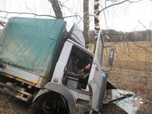 В Могилевской области МАЗ вылетел в кювет и врезался в дерево