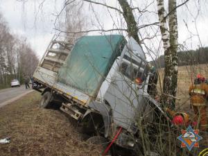 В Могилевской области МАЗ вылетел в кювет и врезался в дерево 