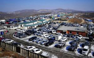 Avito и автодилеры создадут единую базу данных подержанных машин