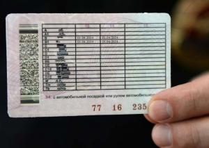 Новые программы обучения водителей подготовят за 60 дней