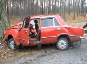 В Светлогорском районе "Жигули" врезались в дерево: один человек погиб, двое – пострадал