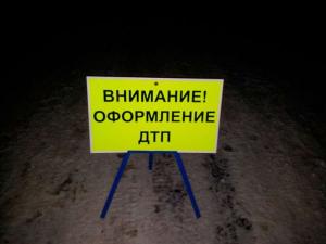 Девушка за рулем Ауди не справилась с управлением и врезалась в дерево