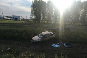 В Башкирии в ДТП погиб пятилетний мальчик