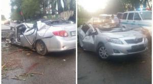 Дерево рухнуло на движущийся автомобиль на трассе Алматы - Талгар