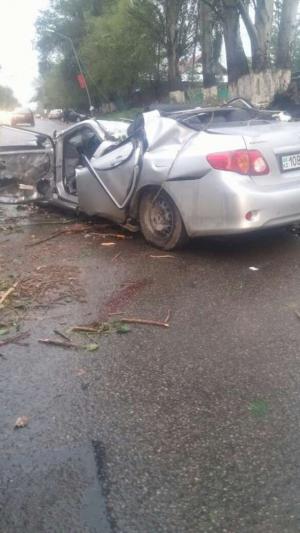 Дерево рухнуло на движущийся автомобиль на трассе Алматы - Талгар