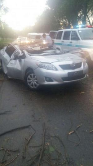 Дерево рухнуло на движущийся автомобиль на трассе Алматы - Талгар