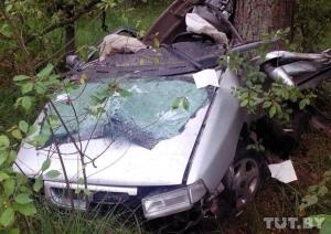 Под Житковичами водитель Seat врезался в дерево. Мужчина погиб