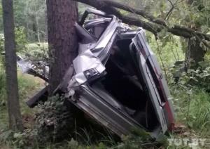 Под Житковичами водитель Seat врезался в дерево. Мужчина погиб