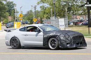 Охота на тигра: сверхмощный Ford Mustang устранит конкурентов