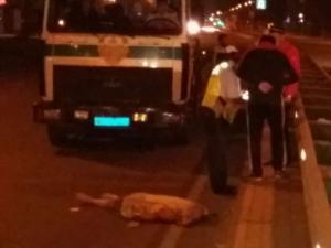 Девушка-пешеход скончалась в результате ДТП на окраине Алматы