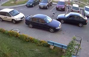 Под Гомелем бесправник на Audi врезался в дерево: погибли два человека