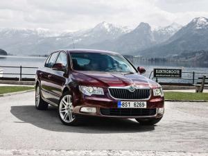 Skoda сообщила о росте продаж автомобилей бренда в России