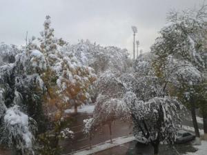 Дороги 