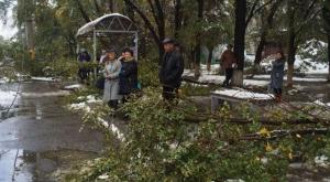 Дороги 