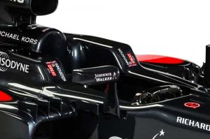 В McLaren поддержали кампанию правительства