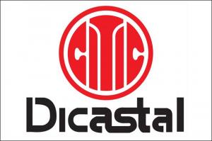 Dicastal – технический партнёр Williams