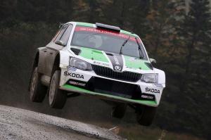 Skoda не будет использовать машины Volkswagen Polo в WRC
