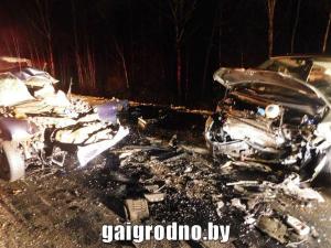 Под Гродно Fiat врезался в выскочившего на дорогу лося, а потом в микроавтобус. Водитель погиб
