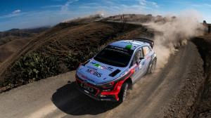 Red Bull бесплатно покажет весь чемпионат WRC 2017 года