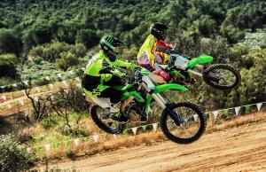 Команда Monster Energy Kawasaki 2017