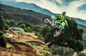 Команда Monster Energy Kawasaki 2017 