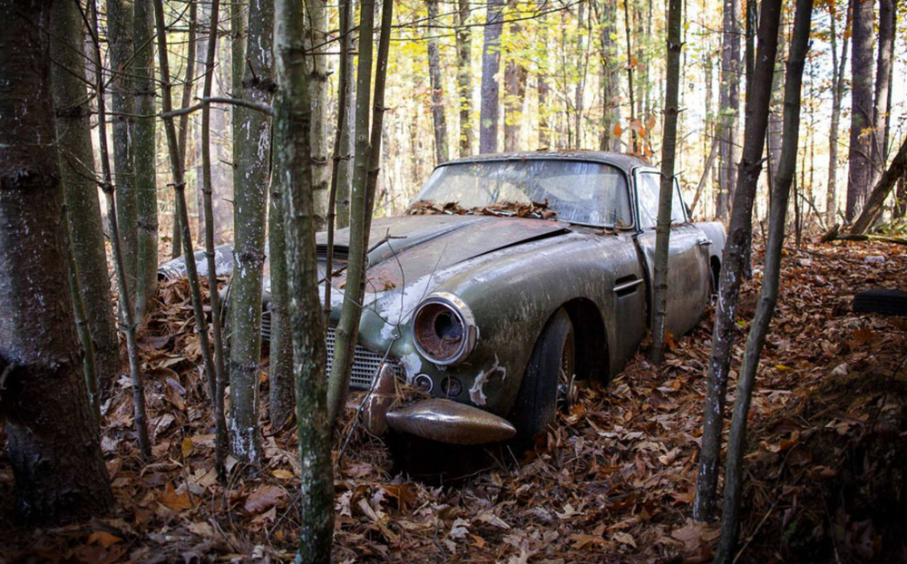 Раритетный Aston Martin DB4 найден прямо посреди леса!