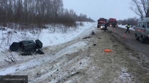 В ДТП с большегрузом в Самарской области погибла женщина 