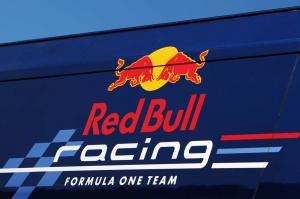В Red Bull Racing надеются выиграть апелляцию