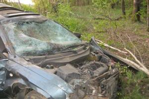 В Могилевской области KIA вылетела в кювет и врезалась в дерево: погибла пассажирка