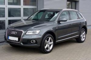 Житель Роттердама утопил свой Audi Q5