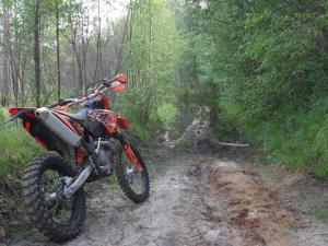 Крымские лесники освоят KTM