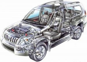 Подвеска Land Cruiser Prado «спрятала» котенка: животное проехало вниз головой 70 км