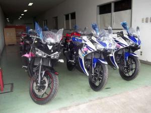 Yamaha R25: выпуск начат