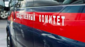 Госдума передумала освобождать следователей от наказания за нарушение ПДД