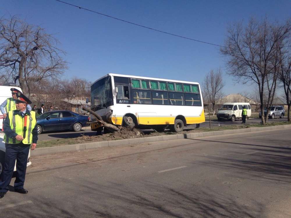 Автобус с 20 пассажирами врезался в дерево в Шымкенте