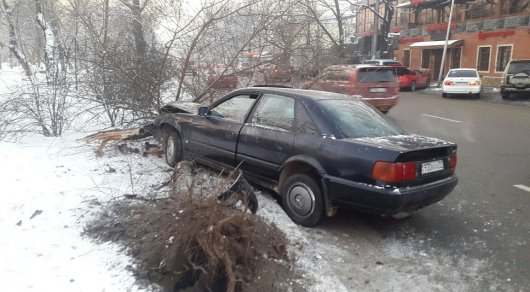 Водитель Audi снес дерево в Алматы