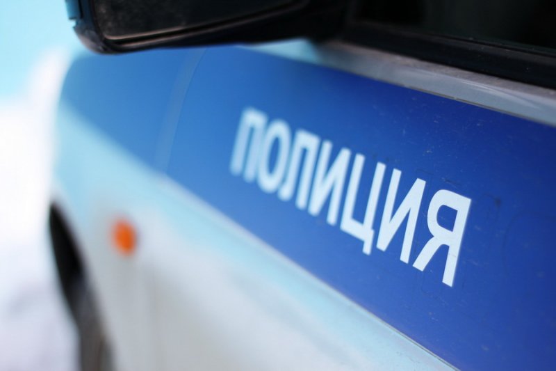 В Челябинской области в ДТП с полицейским авто пострадали женщина и ребенок