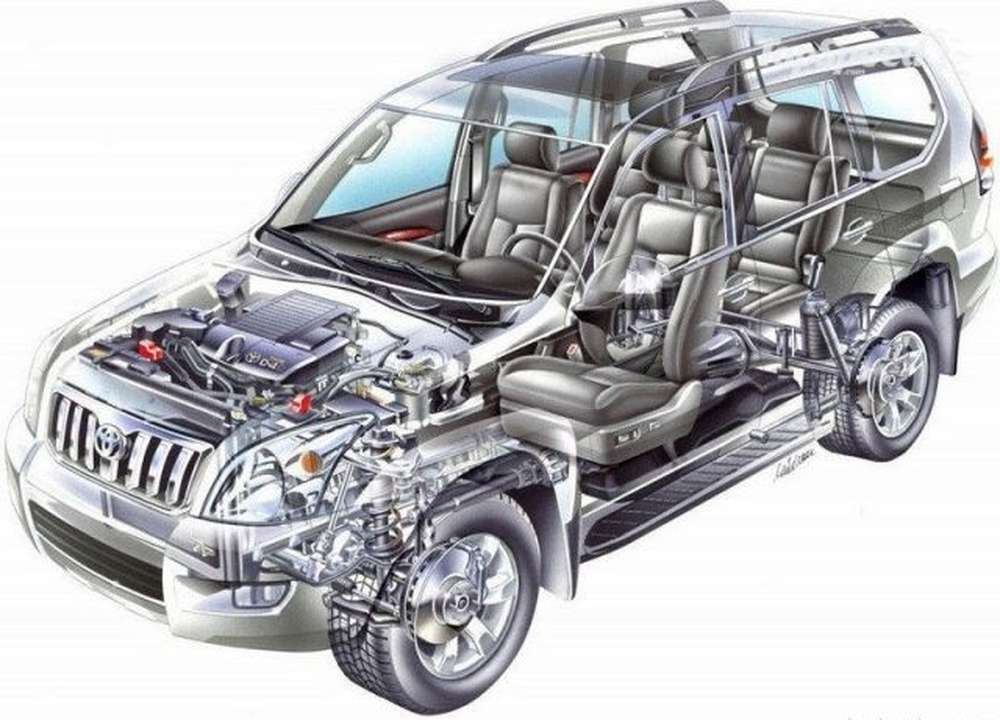 Подвеска Land Cruiser Prado «спрятала» котенка: животное проехало вниз головой 70 км